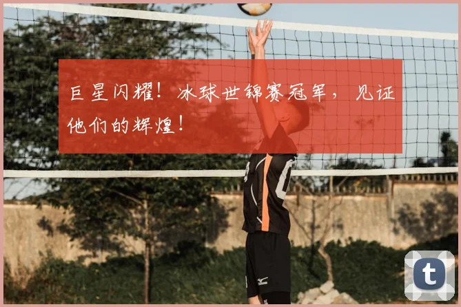 巨星闪耀!冰球世锦赛冠军,见证他们的辉煌!