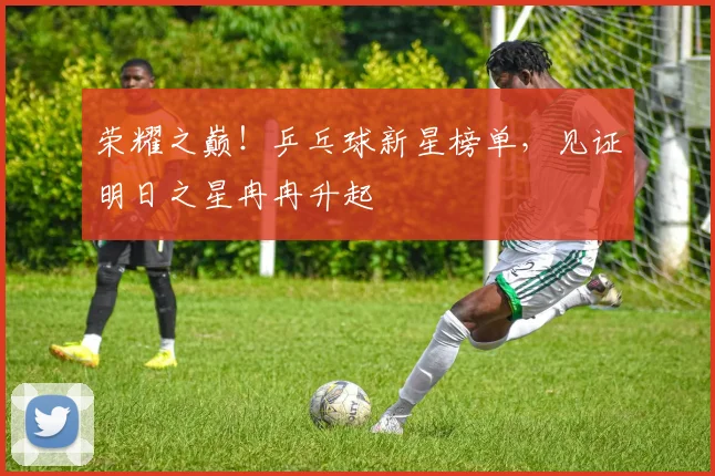 荣耀之巅!乒乓球新星榜单,见证明日之星冉冉升起