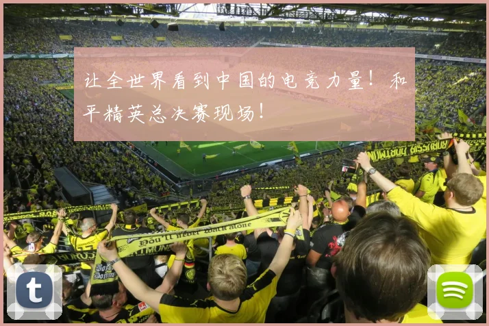 让全世界看到中国的电竞力量！和平精英总决赛现场！