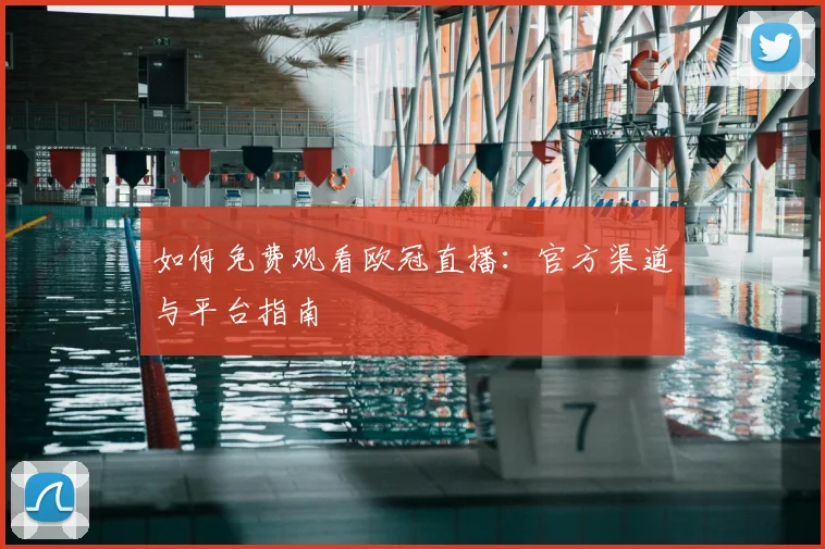 如何免费观看欧冠直播：官方渠道与平台指南